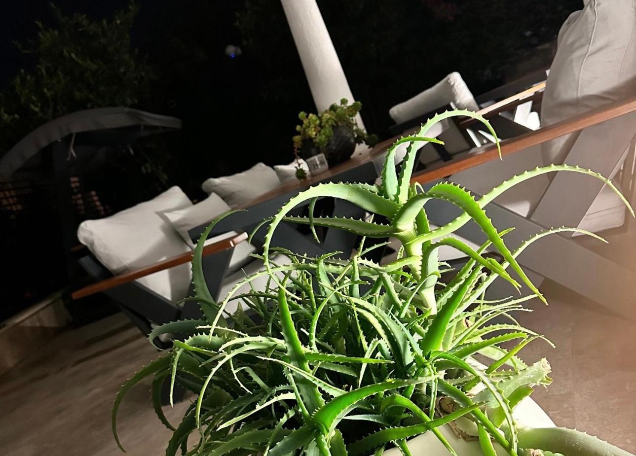 Noa Suite Hotel Only Adult 博德鲁姆 外观 照片